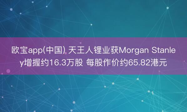 欧宝app(中国) 天王人锂业获Morgan Stanley增握约16.3万股 每股作价约65.82港元