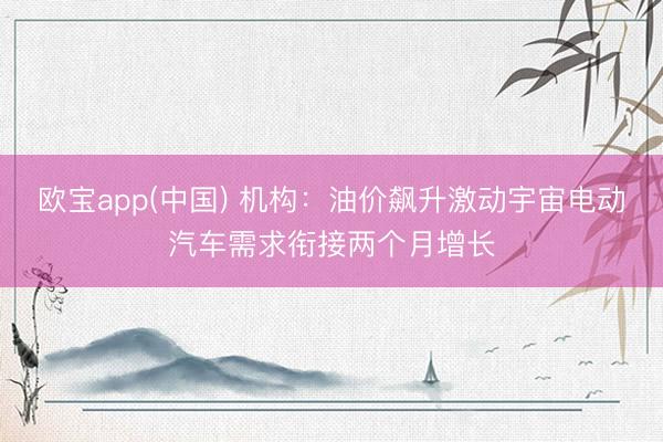 欧宝app(中国) 机构：油价飙升激动宇宙电动汽车需求衔接两个月增长