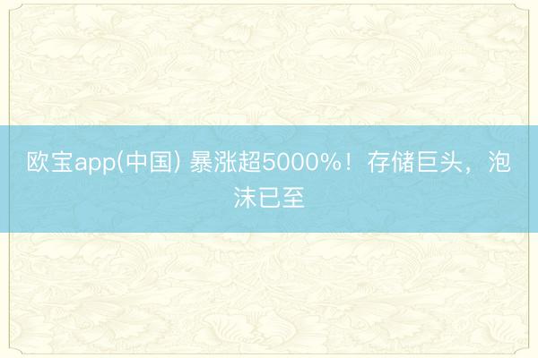欧宝app(中国) 暴涨超5000%！存储巨头，泡沫已至