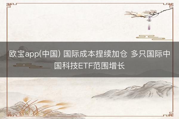 欧宝app(中国) 国际成本捏续加仓 多只国际中国科技ETF范围增长