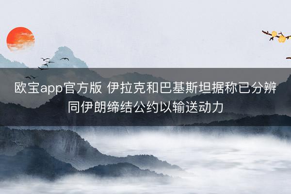 欧宝app官方版 伊拉克和巴基斯坦据称已分辨同伊朗缔结公约以输送动力