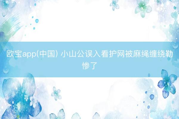 欧宝app(中国) 小山公误入看护网被麻绳缠绕勒惨了
