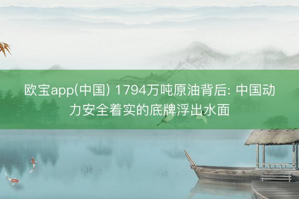 欧宝app(中国) 1794万吨原油背后: 中国动力安全着实的底牌浮出水面