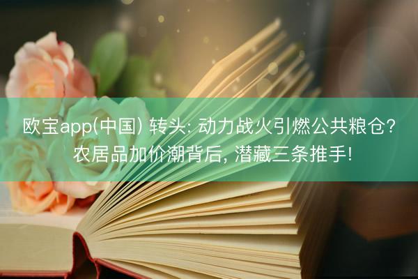 欧宝app(中国) 转头: 动力战火引燃公共粮仓? 农居品加价潮背后， 潜藏三条推手!