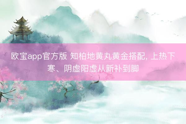 欧宝app官方版 知柏地黄丸黄金搭配， 上热下寒、阴虚阳虚从新补到脚