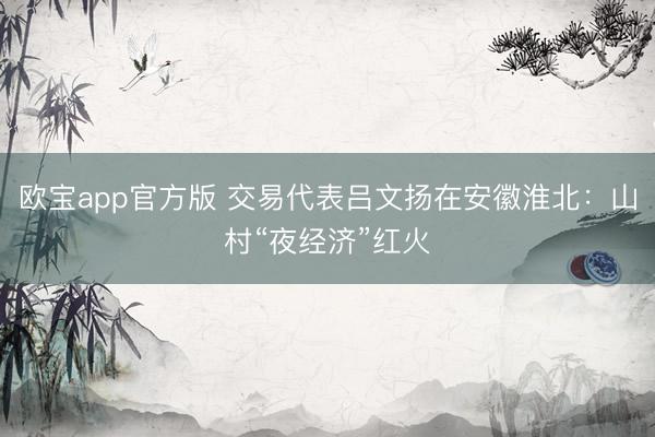 欧宝app官方版 交易代表吕文扬在安徽淮北：山村“夜经济”红火