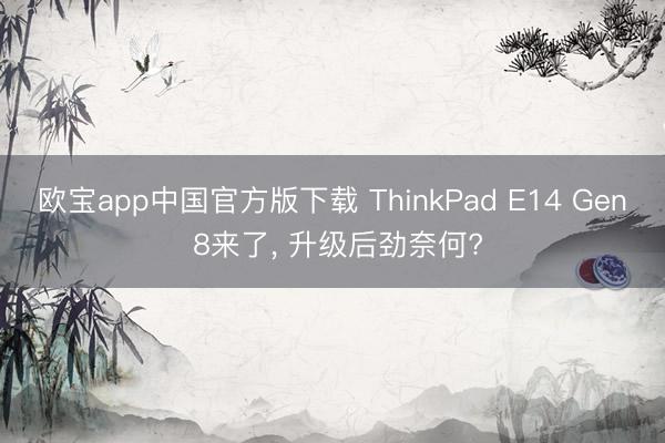欧宝app中国官方版下载 ThinkPad E14 Gen 8来了， 升级后劲奈何?