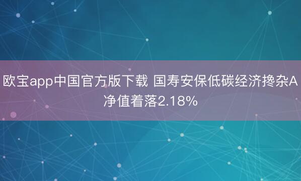欧宝app中国官方版下载 国寿安保低碳经济搀杂A净值着落2.18%