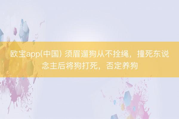 欧宝app(中国) 须眉遛狗从不拴绳，撞死东说念主后将狗打死，否定养狗