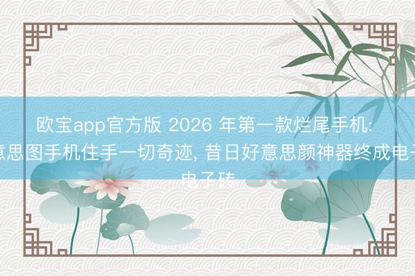 欧宝app官方版 2026 年第一款烂尾手机: 好意思图手机住手一切奇迹， 昔日好意思颜神器终成电子砖