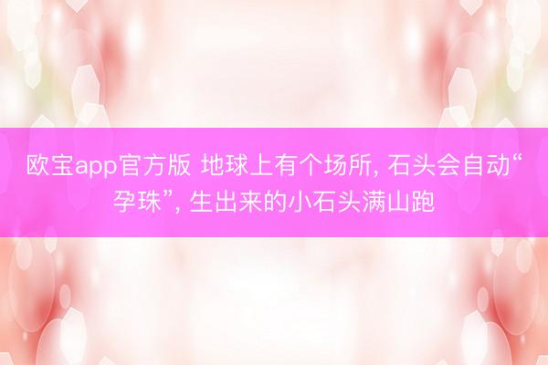 欧宝app官方版 地球上有个场所， 石头会自动“孕珠”， 生出来的小石头满山跑