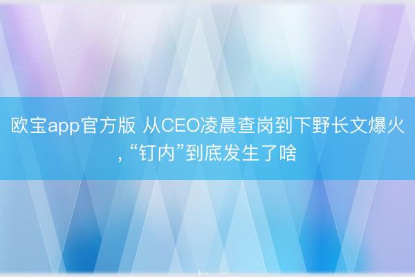 欧宝app官方版 从CEO凌晨查岗到下野长文爆火， “钉内”到底发生了啥