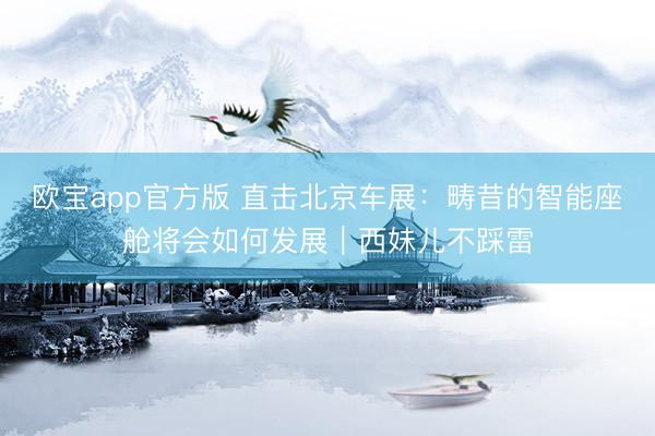欧宝app官方版 直击北京车展：畴昔的智能座舱将会如何发展｜西妹儿不踩雷