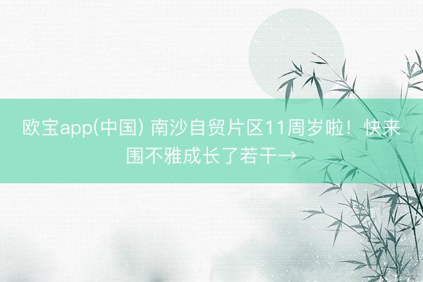 欧宝app(中国) 南沙自贸片区11周岁啦！快来围不雅成长了若干→