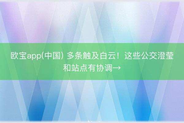 欧宝app(中国) 多条触及白云!这些公交澄莹和站点有协调→